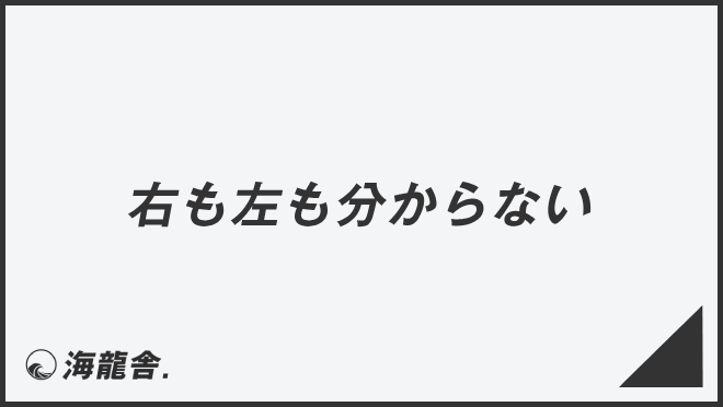 右も左も分からない