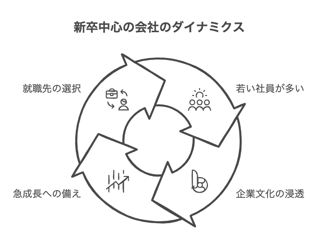 新卒ばかりの会社の特徴